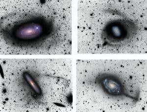 Hunting for scraps from galactic cannibal feasts