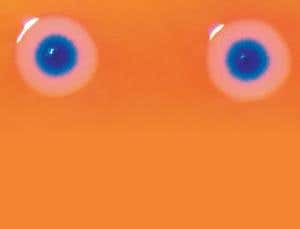 New Scientist. Science news and long reads from expert journalists, covering developments in science, technology, health and the environment on the website and the magazine.