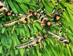 New Scientist. Science news and long reads from expert journalists, covering developments in science, technology, health and the environment on the website and the magazine.