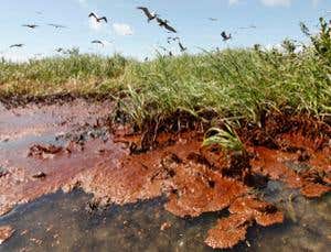 Did faulty cement prime Deepwater Horizon for blowout?