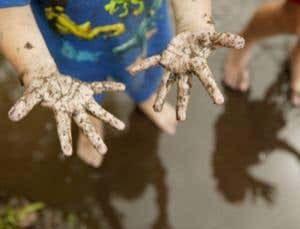 Eat bacteria to boost brain power