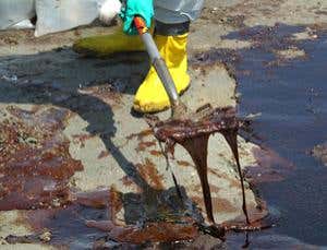 Fear and loathing on the Gulf coast