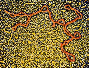 New Scientist. Science news and long reads from expert journalists, covering developments in science, technology, health and the environment on the website and the magazine.