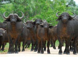 New Scientist. Science news and long reads from expert journalists, covering developments in science, technology, health and the environment on the website and the magazine.