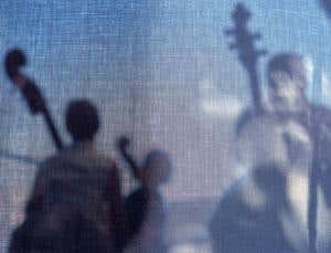 Harmonious minds: The hunt for universal music