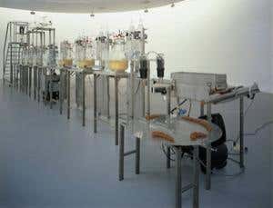 Art meets science: Aesthetics, politics and metaphysics