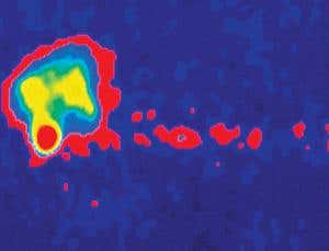 New Scientist. Science news and long reads from expert journalists, covering developments in science, technology, health and the environment on the website and the magazine.