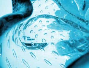 Quantum wonders: Corpuscles and buckyballs