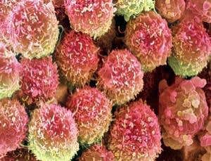 New Scientist. Science news and long reads from expert journalists, covering developments in science, technology, health and the environment on the website and the magazine.