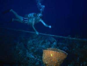 New Scientist. Science news and long reads from expert journalists, covering developments in science, technology, health and the environment on the website and the magazine.