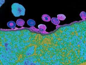 New Scientist. Science news and long reads from expert journalists, covering developments in science, technology, health and the environment on the website and the magazine.