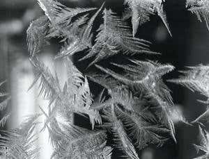 New Scientist. Science news and long reads from expert journalists, covering developments in science, technology, health and the environment on the website and the magazine.