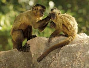 New Scientist. Science news and long reads from expert journalists, covering developments in science, technology, health and the environment on the website and the magazine.