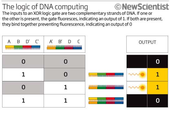 New Scientist. Science news and long reads from expert journalists, covering developments in science, technology, health and the environment on the website and the magazine.