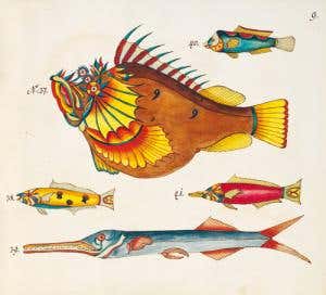 Forensic astronomer solves Walt Whitman mystery