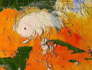 New Scientist. Science news and long reads from expert journalists, covering developments in science, technology, health and the environment on the website and the magazine.