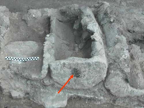 Bees used these holes to enter and exit from the ancient clay hives at Tel Rehov, Israel. 