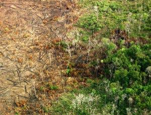 New Scientist. Science news and long reads from expert journalists, covering developments in science, technology, health and the environment on the website and the magazine.