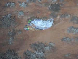 New Scientist. Science news and long reads from expert journalists, covering developments in science, technology, health and the environment on the website and the magazine.