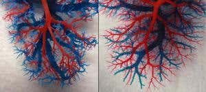 New Scientist. Science news and long reads from expert journalists, covering developments in science, technology, health and the environment on the website and the magazine.