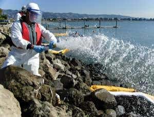 New Scientist. Science news and long reads from expert journalists, covering developments in science, technology, health and the environment on the website and the magazine.