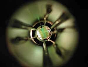 New Scientist. Science news and long reads from expert journalists, covering developments in science, technology, health and the environment on the website and the magazine.