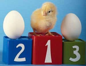 New Scientist. Science news and long reads from expert journalists, covering developments in science, technology, health and the environment on the website and the magazine.