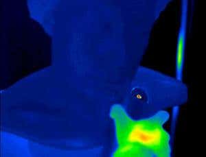 Nanoscale science: a giant leap for mankind