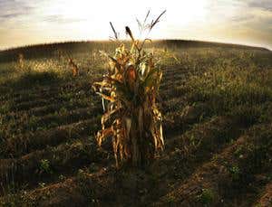 New Scientist. Science news and long reads from expert journalists, covering developments in science, technology, health and the environment on the website and the magazine.