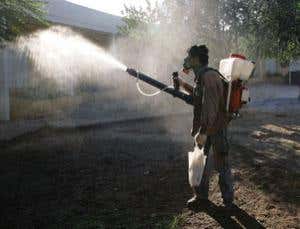 New Scientist. Science news and long reads from expert journalists, covering developments in science, technology, health and the environment on the website and the magazine.