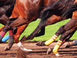 New Scientist. Science news and long reads from expert journalists, covering developments in science, technology, health and the environment on the website and the magazine.