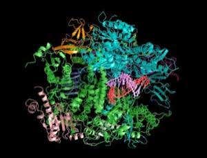 Genome at 10: A dizzying journey into complexity