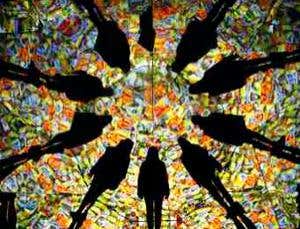 New Scientist. Science news and long reads from expert journalists, covering developments in science, technology, health and the environment on the website and the magazine.