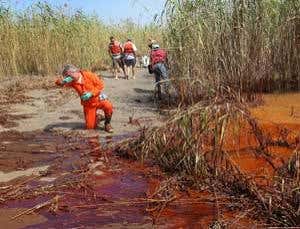 Clean-up of oil spill may cause long-term damage