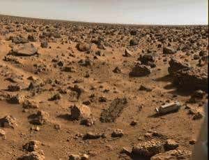 If there's life on Mars, it could be right-handed