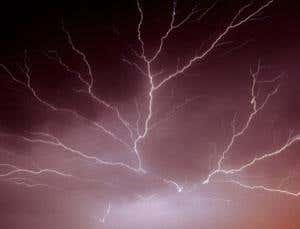 New Scientist. Science news and long reads from expert journalists, covering developments in science, technology, health and the environment on the website and the magazine.