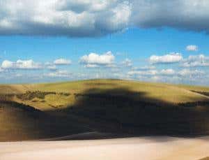 New Scientist. Science news and long reads from expert journalists, covering developments in science, technology, health and the environment on the website and the magazine.