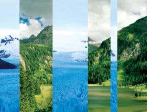 New Scientist. Science news and long reads from expert journalists, covering developments in science, technology, health and the environment on the website and the magazine.