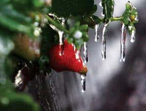 New Scientist. Science news and long reads from expert journalists, covering developments in science, technology, health and the environment on the website and the magazine.