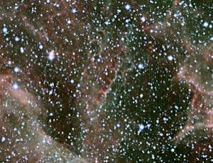 New Scientist. Science news and long reads from expert journalists, covering developments in science, technology, health and the environment on the website and the magazine.