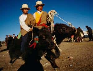 New Scientist. Science news and long reads from expert journalists, covering developments in science, technology, health and the environment on the website and the magazine.
