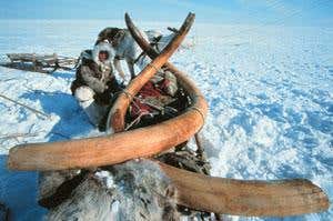 New Scientist. Science news and long reads from expert journalists, covering developments in science, technology, health and the environment on the website and the magazine.