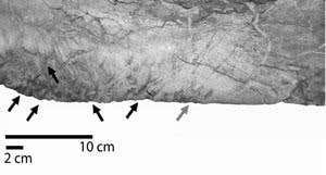 New Scientist. Science news and long reads from expert journalists, covering developments in science, technology, health and the environment on the website and the magazine.