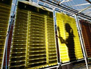 New Scientist. Science news and long reads from expert journalists, covering developments in science, technology, health and the environment on the website and the magazine.