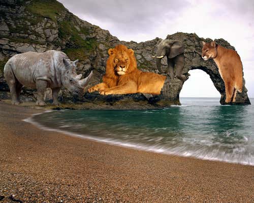 Picture puzzles separate human from machine