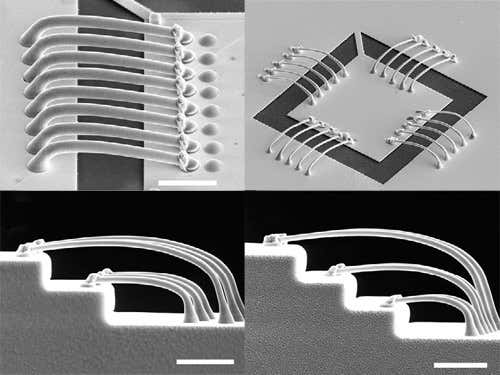 New Scientist. Science news and long reads from expert journalists, covering developments in science, technology, health and the environment on the website and the magazine.