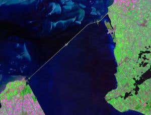 New Scientist. Science news and long reads from expert journalists, covering developments in science, technology, health and the environment on the website and the magazine.