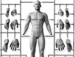 Evolvability: How to cash in on the genetic lottery