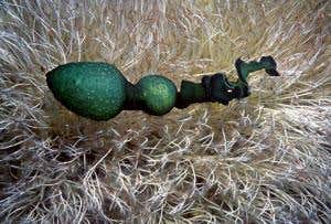 New Scientist. Science news and long reads from expert journalists, covering developments in science, technology, health and the environment on the website and the magazine.