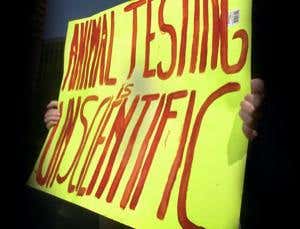 Make every animal experiment count